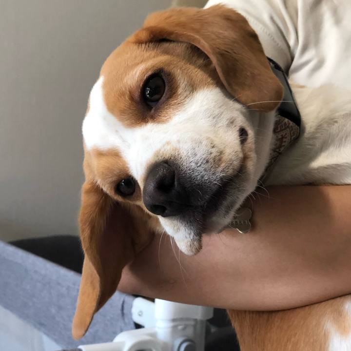 45d91ccc a665 4669 a400 dcfb4af57f1d 1613961893934