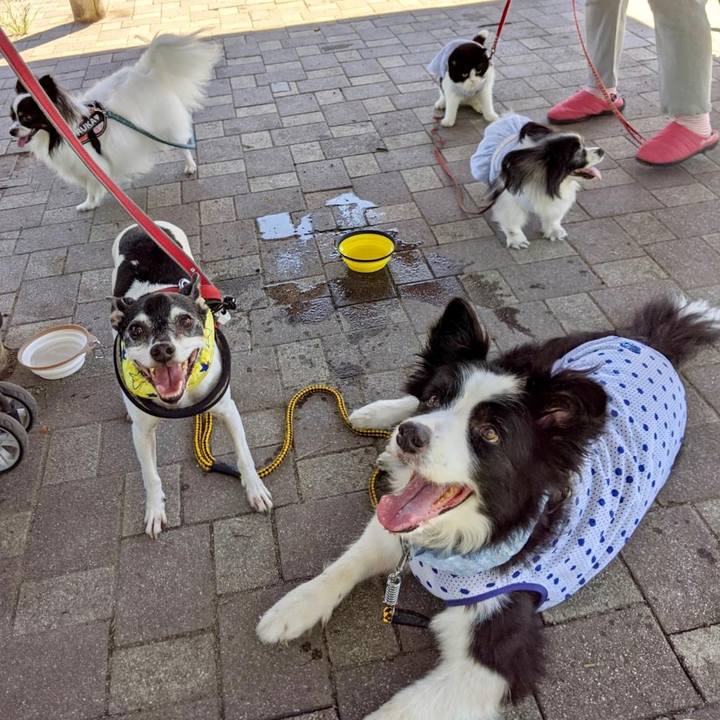 45d96396 8e00 442e a99d 0a823d165943 1599879198079