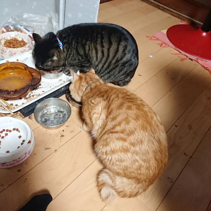 45d96e7c 994e 443b b287 53452f80a944 1641588702647