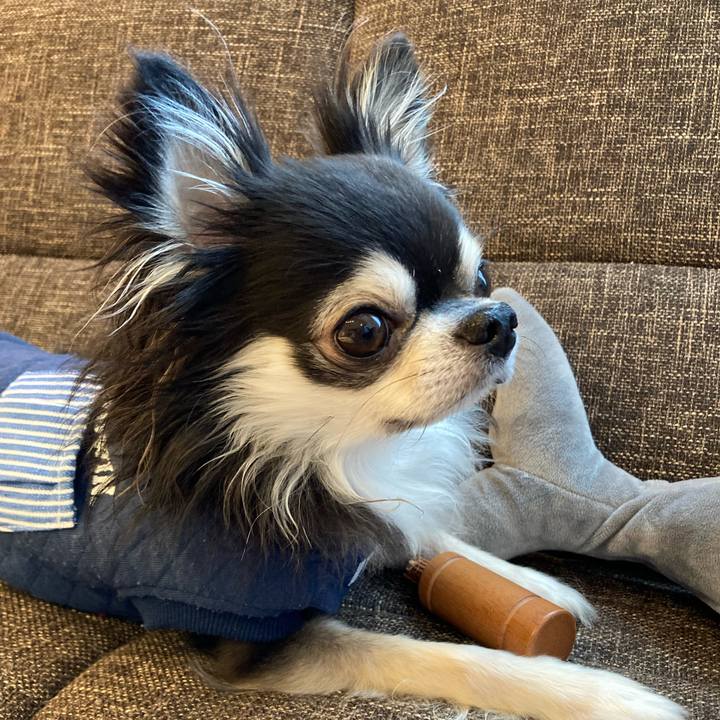 45d9d032 af1b 4a9d a886 48dc0fd41ca1 1709394872532