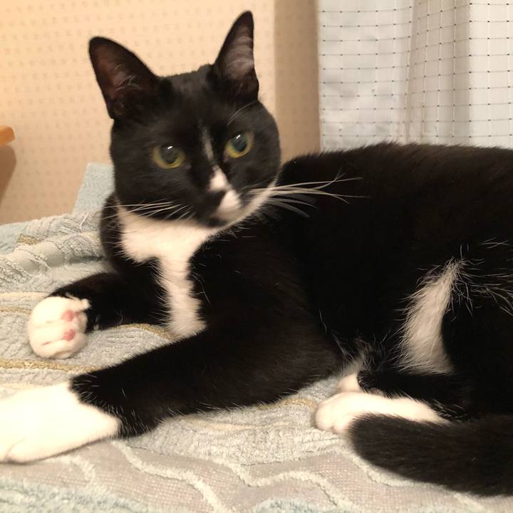 45d9da80 d486 456e bd65 c6a02f4455be 1526852396405