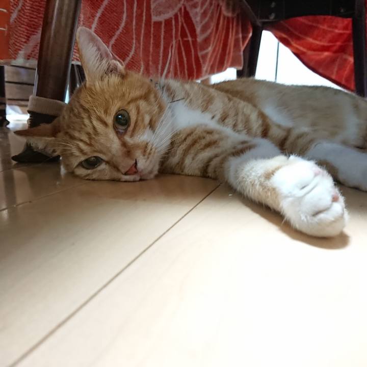 45d9eebe cb8e 411c b87a 20963b97f8f9 1597061481610