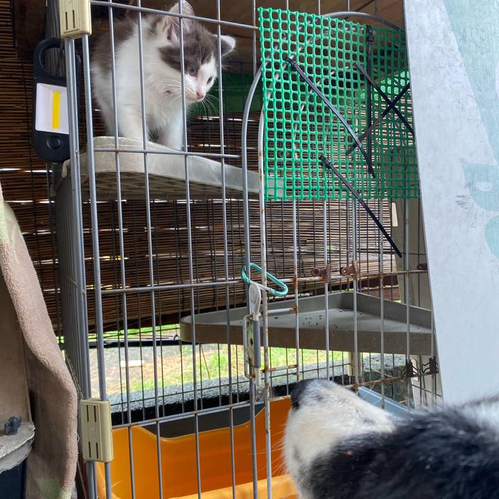 45d9fb79 53c7 400b 972a 793be7d5beaf 1687310365976