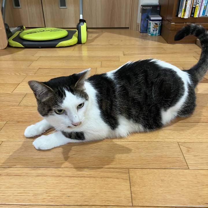 45da0303 2948 494b bf74 40e6f9f53c5f 1720756215761