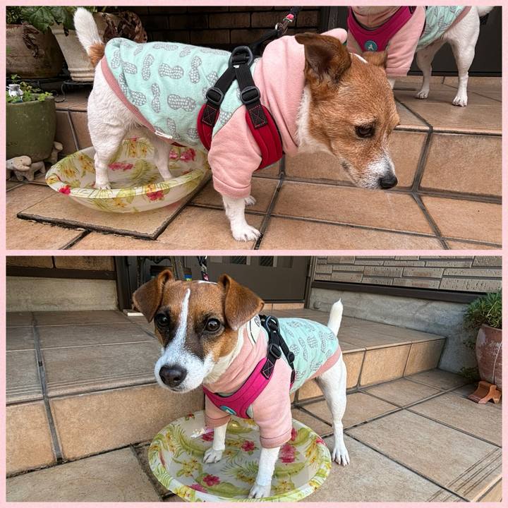 45da041f 7a09 415a 9a49 5a03d434ee3f 1732528235800