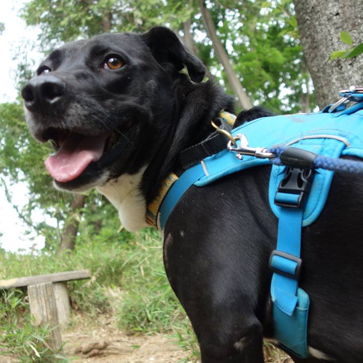 45da29e5 3cfe 4387 95c6 3a4ec15b982c 1620782058419