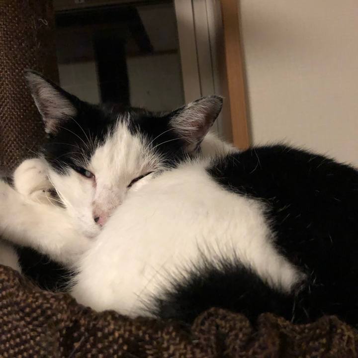 45db08c4 f9ab 480b 8309 c8eccd76ec21 1567957100697