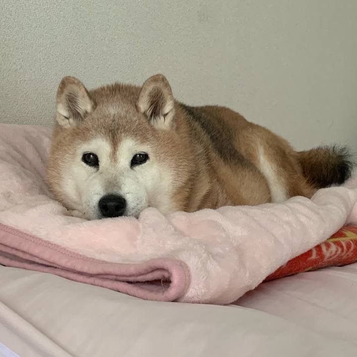 45db1ae6 0c29 4a93 bfb9 148a1b077ca8 1661069490002