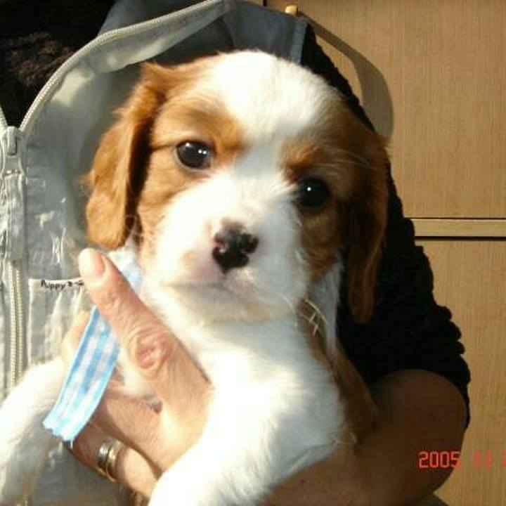 45db3fc2 8592 4b54 9aa2 0cac6ff7ecf8 1564797246081