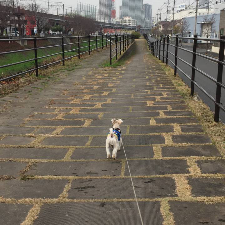 45db569b 0084 4f08 b853 3a96fa39bd49 1544162009114