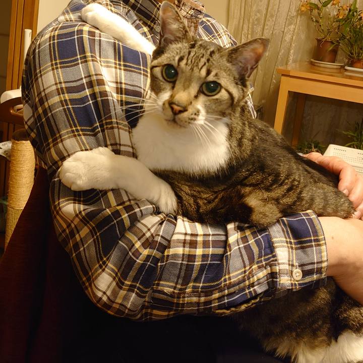 45db578a 4ad8 47d7 8d62 ae632c3f3bed 1710756858101