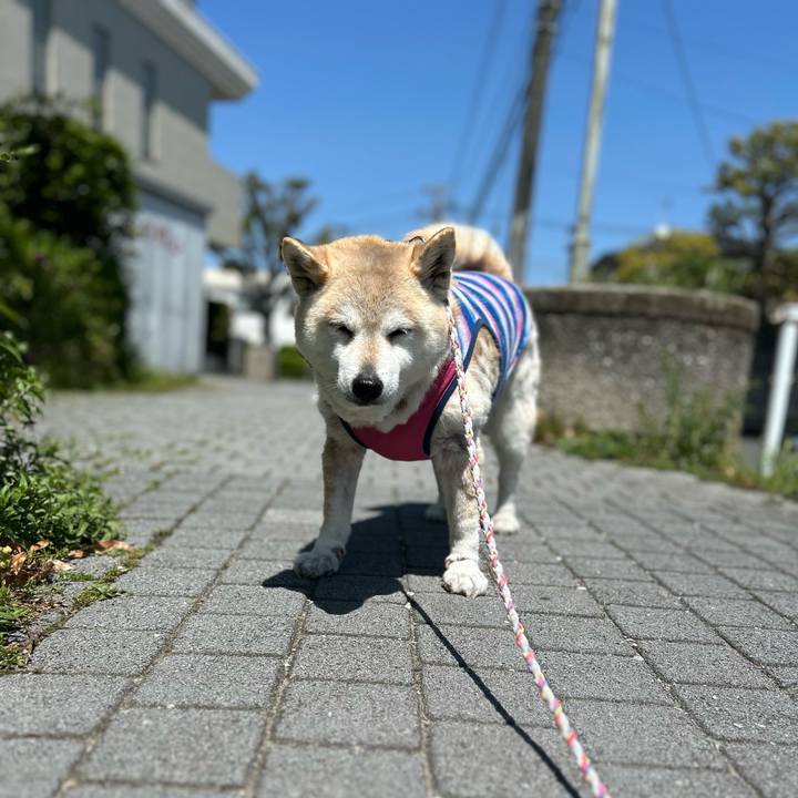 45db5aa9 5b59 48ca bdcb d99c187137ba 1745985497650