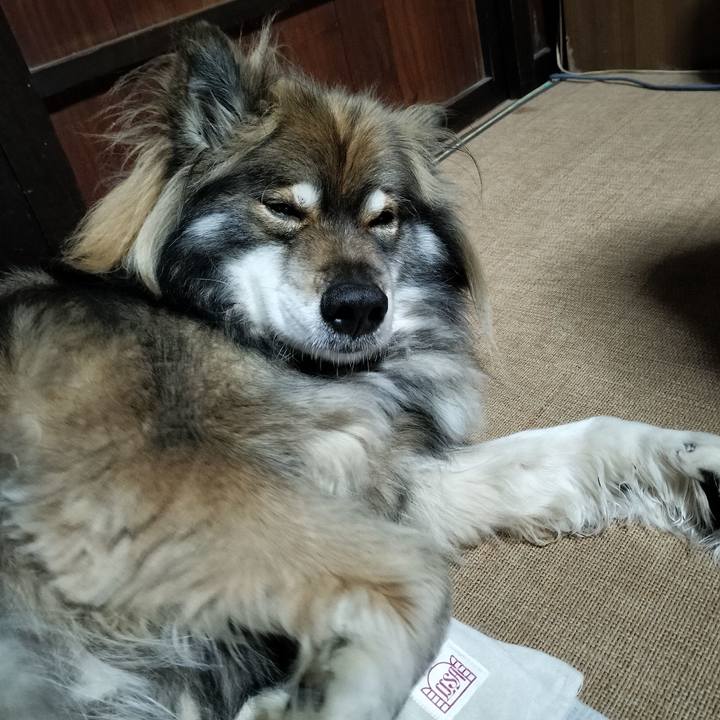 45db5f31 bd85 4256 a3e1 16a7e822050c 1674210591775