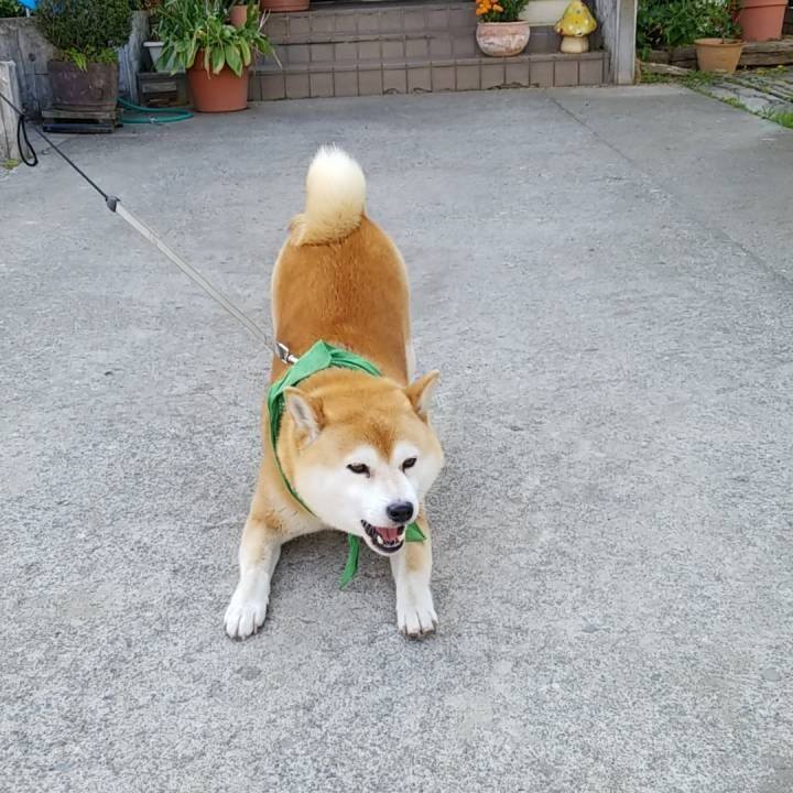 45db6415 d7c5 4326 a120 33259b89467a 1558047289438