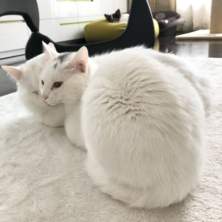 45db9d7e 5639 4524 a11c 90d14da25480 1581904976185