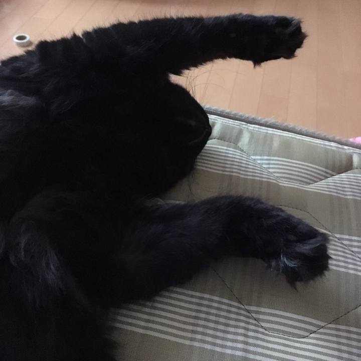 45db9ef1 2866 4b06 a9b2 60dc2571fedc 1535671166498