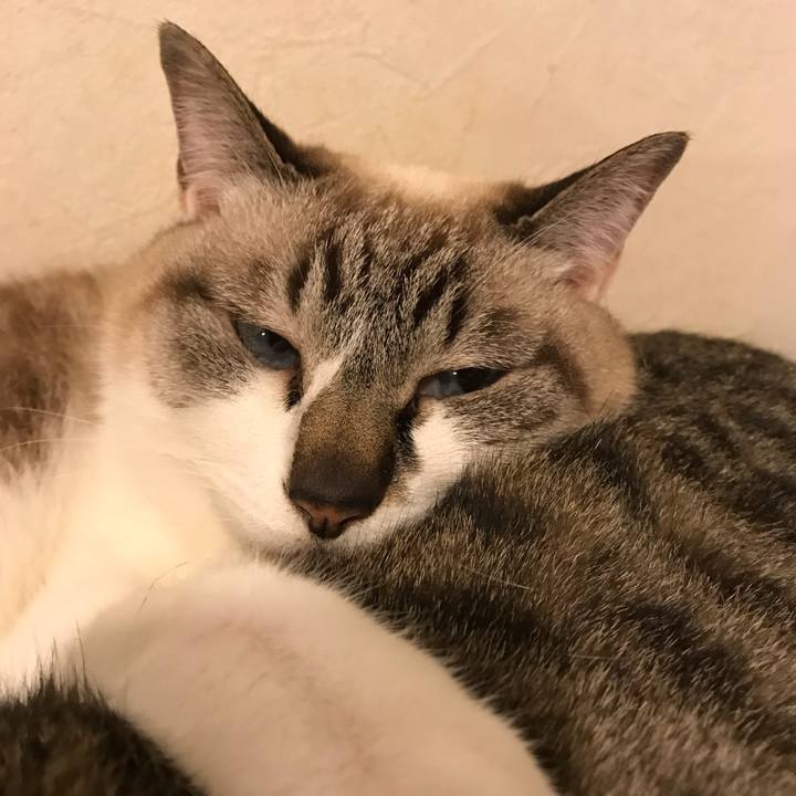 45dbe111 7866 4998 a7dc 07800f872118 1528019122085