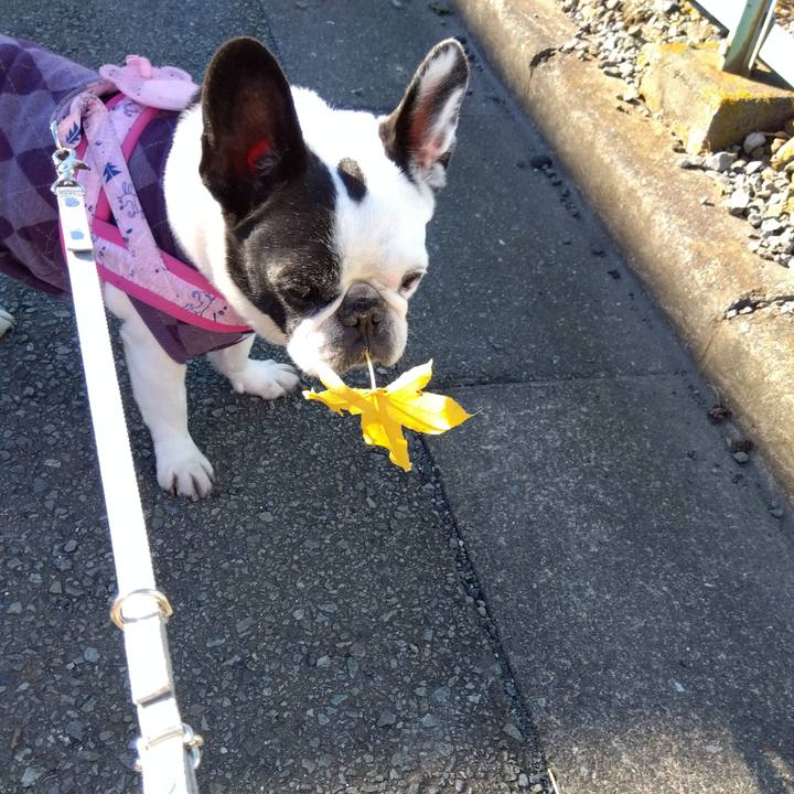 45dbf2c3 243c 417a b6e7 6d9e986ad8d1 1699880656403