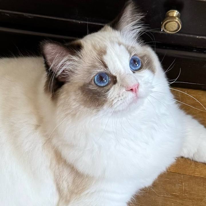 45dc209e 4299 407a bff5 89f766fabf4d 1752081553048