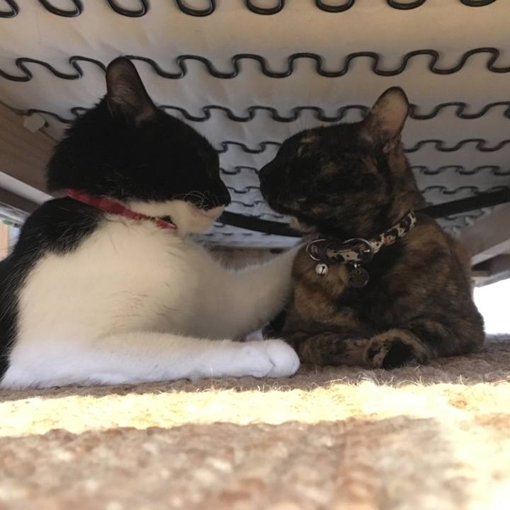 45dc3691 6cec 4357 8d61 8b4fc9fd1ea5 1511746026882