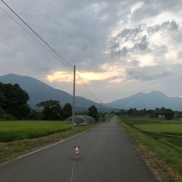 45dc71f1 29af 40c3 9050 3d50a817f8a6 1566128941859