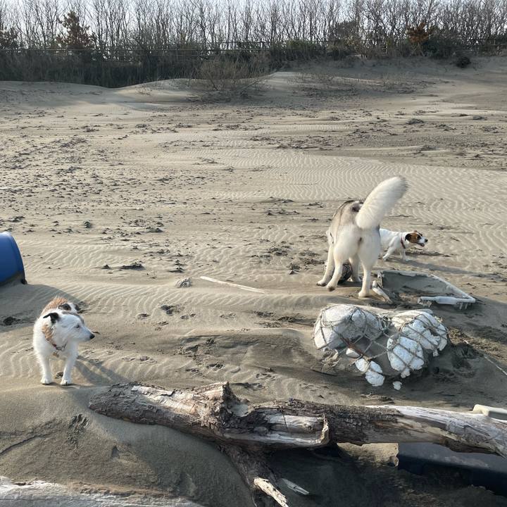 45dc83ac a648 4d7b 9939 68ee21d0abd8 1744848082341