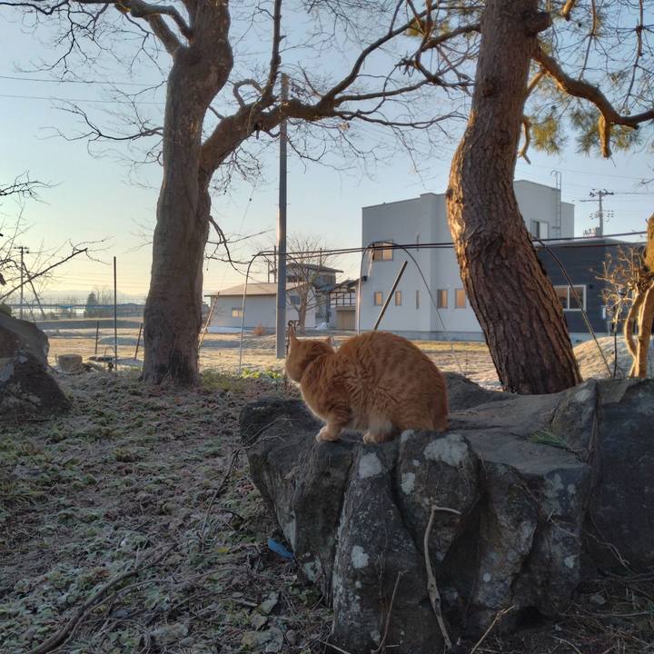 45dcc804 d6a2 41c9 984d b13128434028 1679262895809