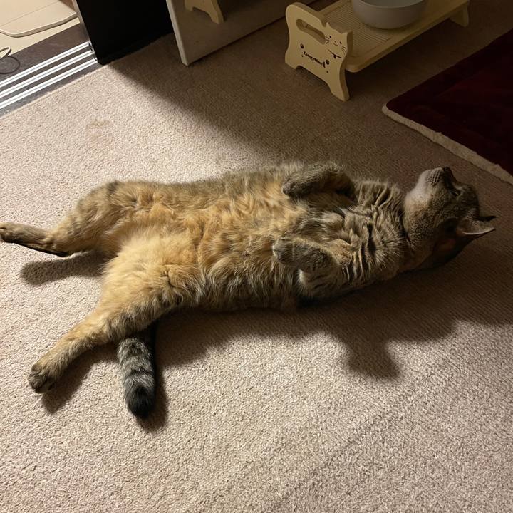 45dcef9c f481 420e b882 3fed3c849df9 1623752392560