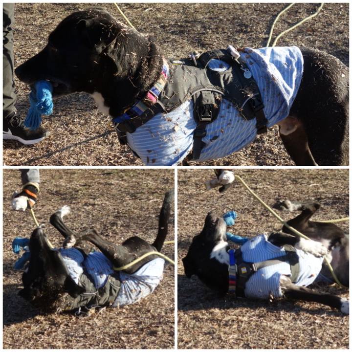 45dd221e 4ad2 4a72 959d 90b2cbe00172 1643591842921