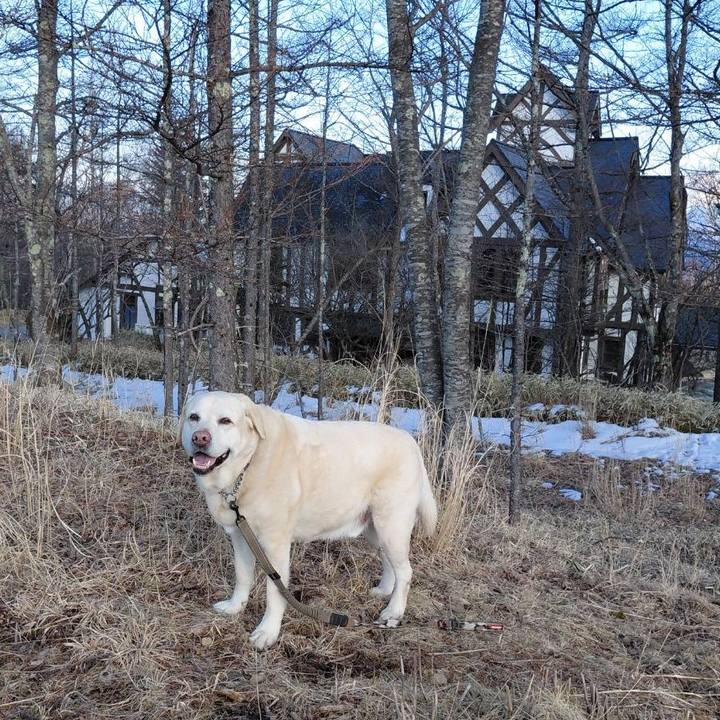 45dd2fb5 d852 4381 a5ce f0ad2439dd66 1773719668428