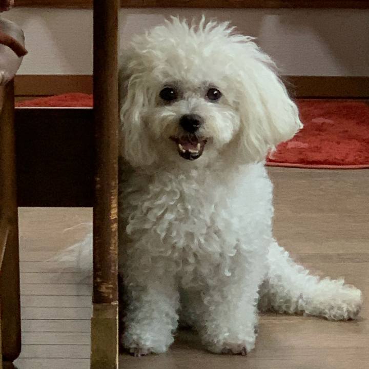 45dd7fa1 923c 44e1 b82c aae06f192fea 1627118357796