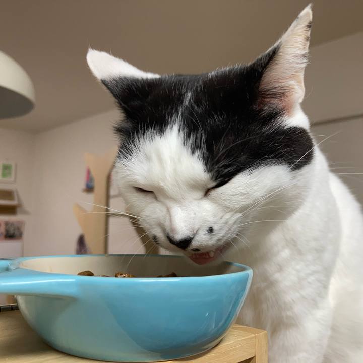 45ddbd2d 4561 46fc a662 a31e83b534ae 1773261578537