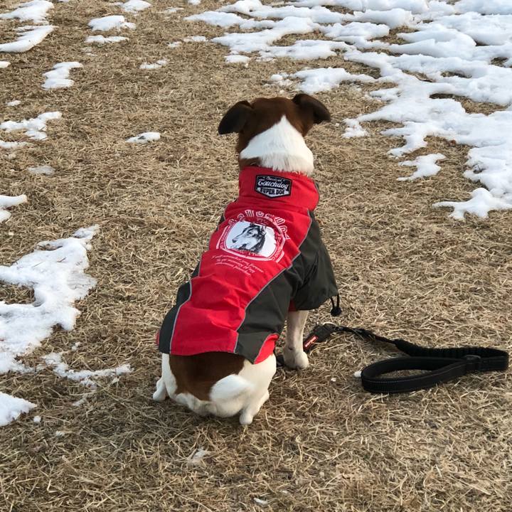 45dded68 5cc5 4a4e ba8d 54e9b7618d02 1517440349069