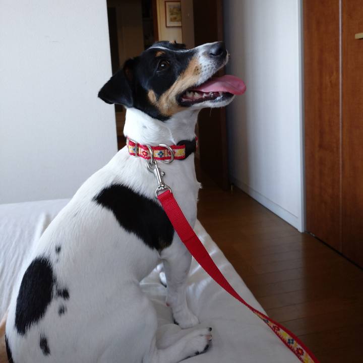 45ddfdf9 aa10 4486 b32c 10596318654d 1570249006237