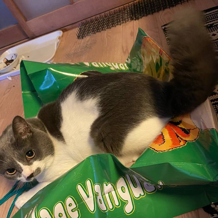 45de29fb d5ac 4202 92ce 42f31afe24b3 1657320533202