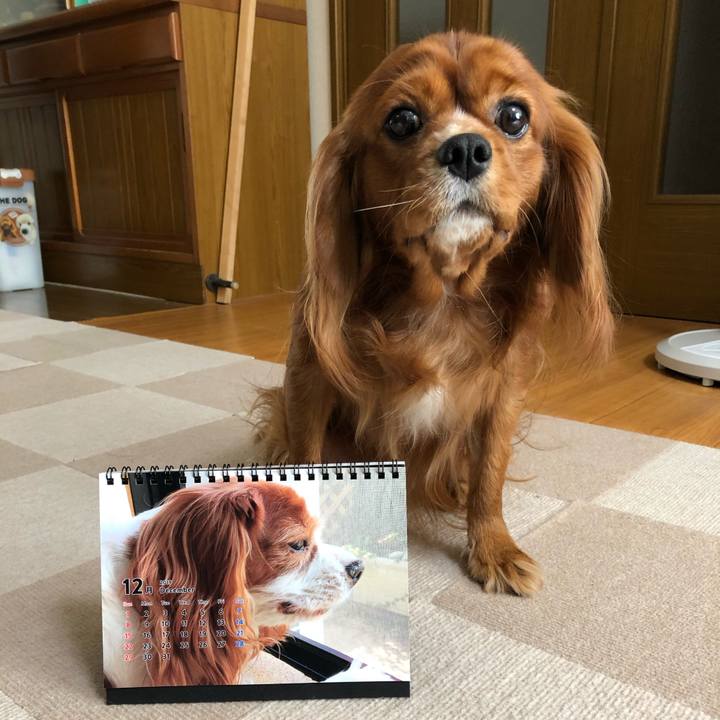 45de2e2d 33ce 46d4 a48d de09b7e5b4f0 1575155253822