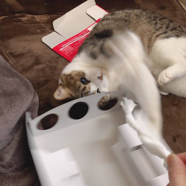 45de4dc2 6e05 4707 91be 52439a0ea2de 1553085289061