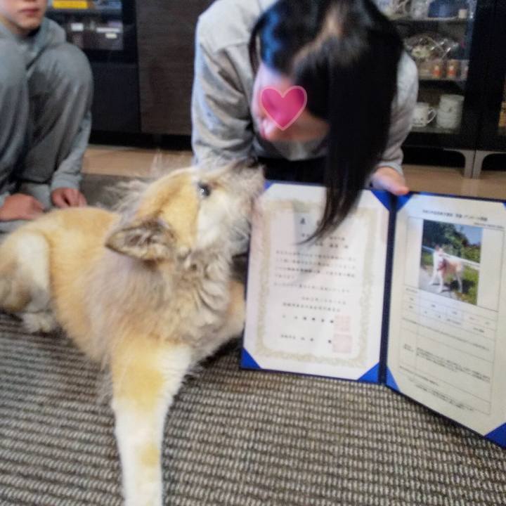 45de5792 2a57 4b57 8800 0e00b5f90992 1604188604523