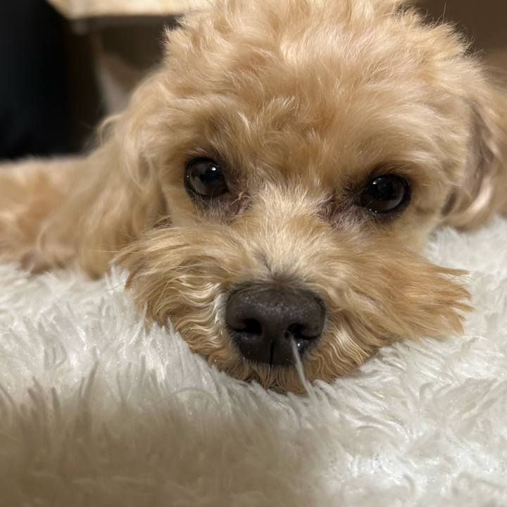 45de972b c7f9 42dc 8560 837e6786ffbe 1708266550767