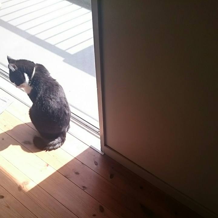 45df1187 508d 455c 8f9f d73d7b7a7907 1523872715690