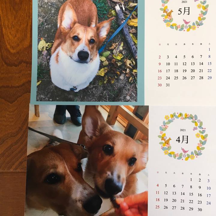 45df31ea 24cc 49f6 a1b7 fc077a7d104a 1619858857995