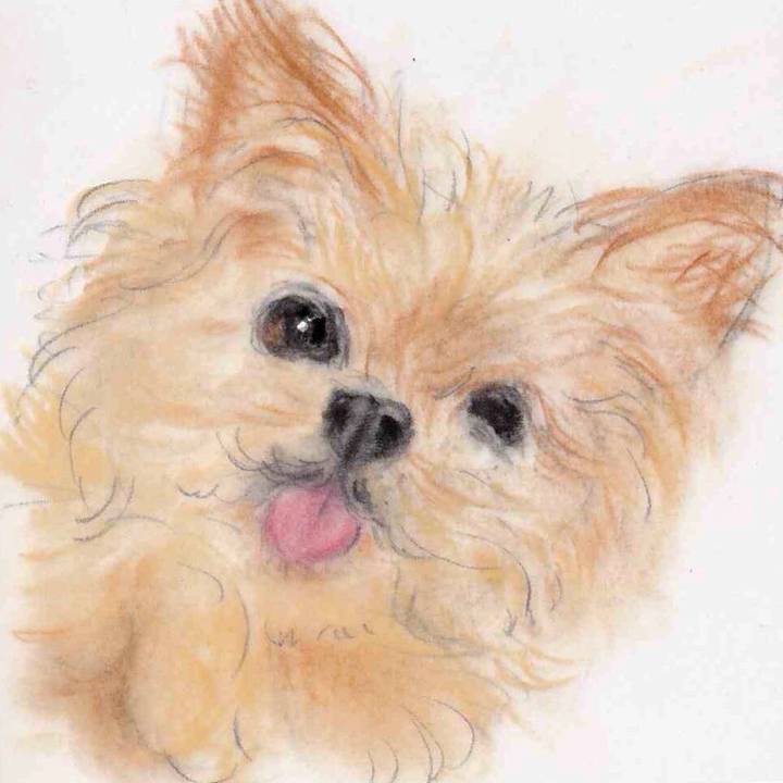 45df38cf 88a4 4891 9594 aafe14bbd2f5 1656639395877