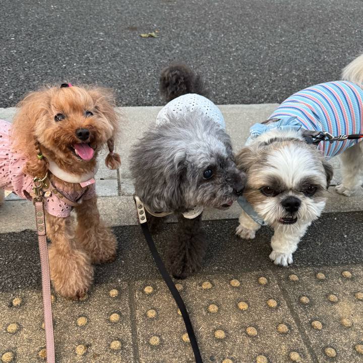 45df8d0d 7980 4393 9e4a fe35c2def83d 1752015835539