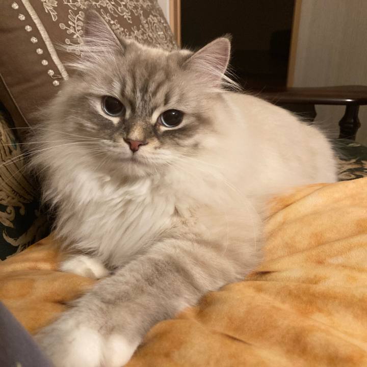 45df9cfc e014 4378 989f 42608e2a8977 1705837823391