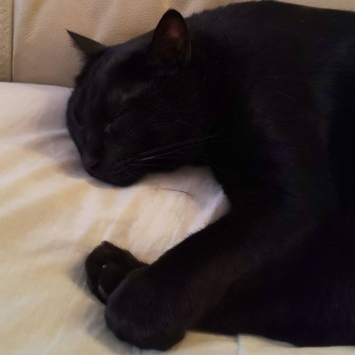 45df9def 571d 4599 b417 0d751bf99729 1689997677151