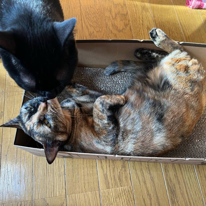 45dfb575 e236 4480 8cff 619b28efe163 1660343540885