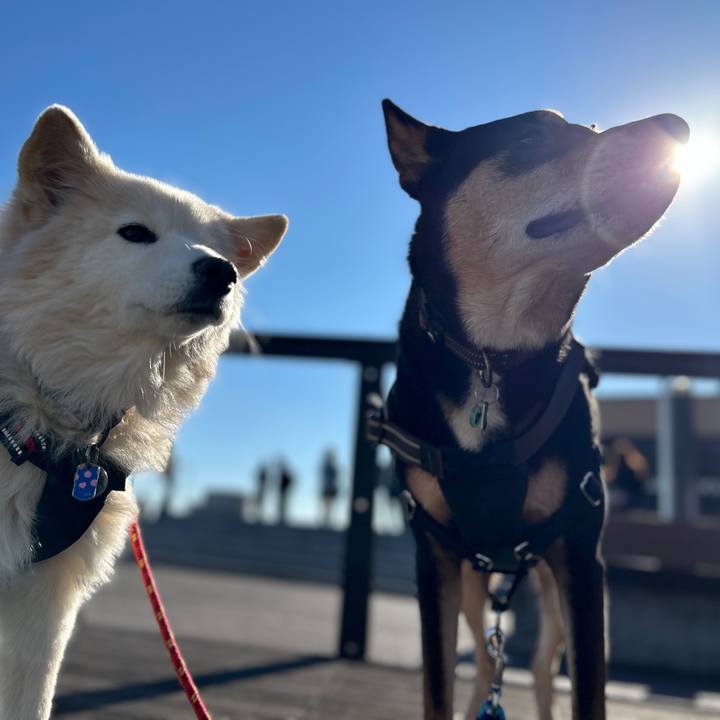 45dfd387 9f8b 4edc a56b 4b826e30c903 1733059285767