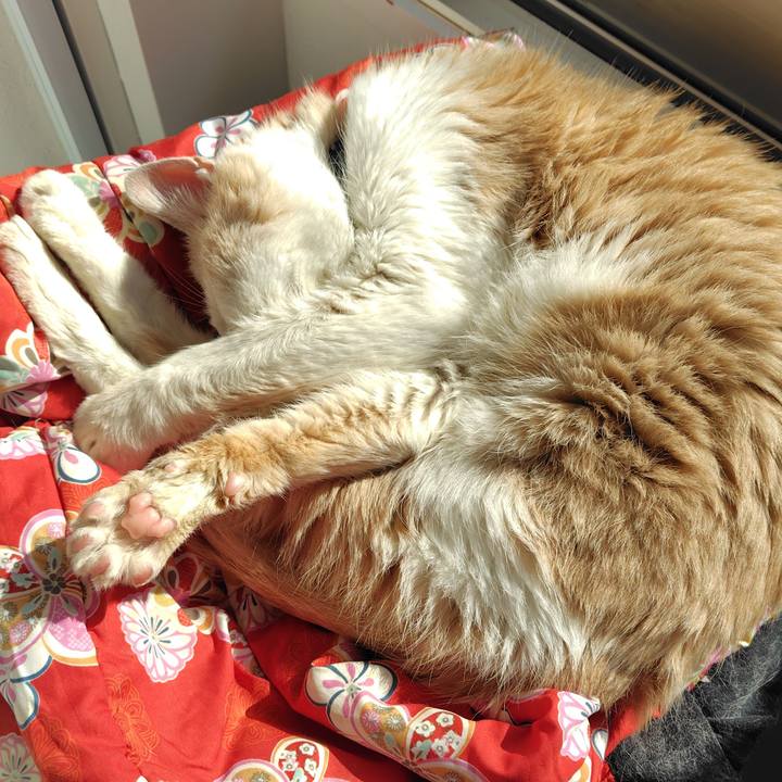 45e0173e 4044 4e5f bebd 6f7217a276d9 1763095155694