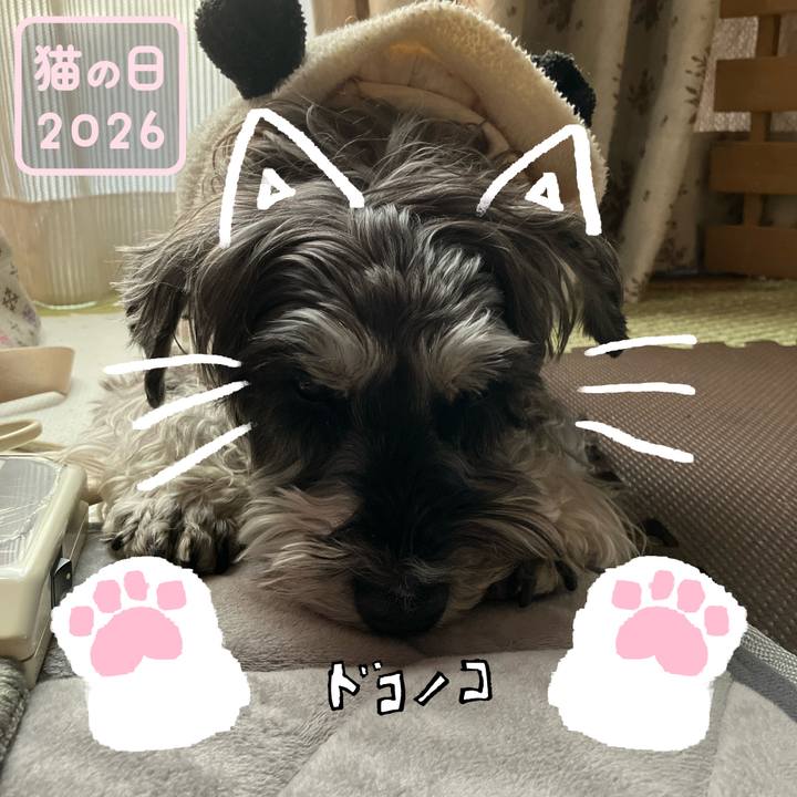 45e043ce da88 43ea 8c62 80927b3d6bbc 1771743631254