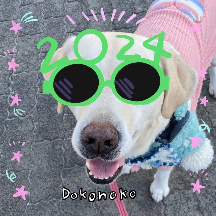 45e053bc 3e76 4ab6 96c6 af9df07291e5 1704466511047